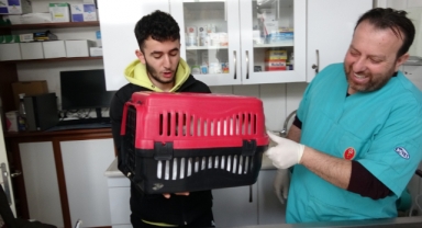 Rüyasına giren kedisini canı pahasına kurtardı