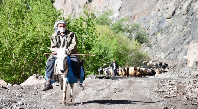 30 gün yol yürüyen göçerler yaylaya ulaştı