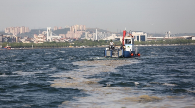38 günde 100 ton deniz salyası toplandı