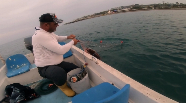 Amatör balıkçı, ağa takılan Caretta Caretta'yı 'gülüm, bir tanem' diyerek kurtardı