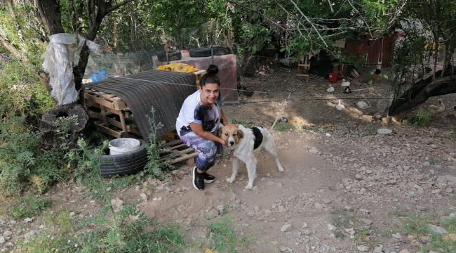 Antalya'da ölüme terk edilen köpeklere mahalleli sahip çıktı
