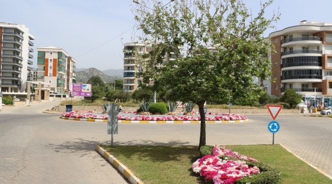 Aydın Büyükşehir Belediyesi'nin Nazilli'deki çalışmaları devam ediyor