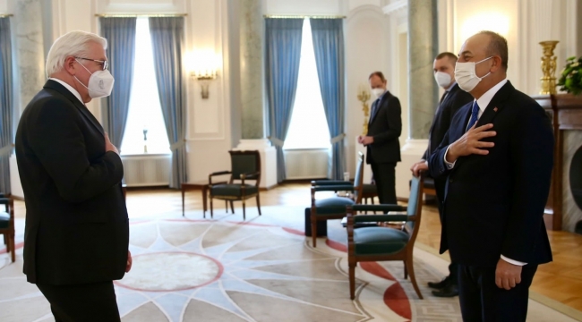 Bakan Çavuşoğlu, Almanya Cumhurbaşkanı Steinmeier ile görüştü