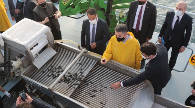 Bakan Pakdemirli Marmara Denizi'nde midye hasat etti