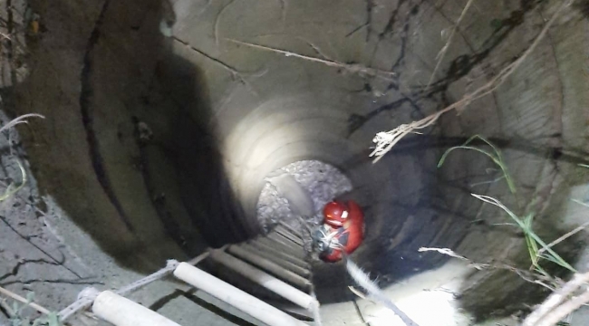 Balıkesir'de kuyuya düşen kuzuyu itfaiye kurtardı