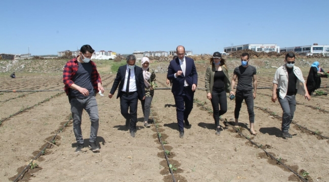 Bismil Belediyesinden kadın istihdamına tam destek