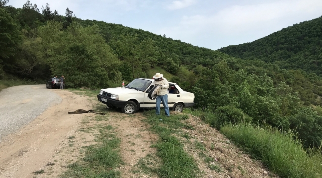 Çanakkale'de takla atan otomobildeki arılar yola saçıldı