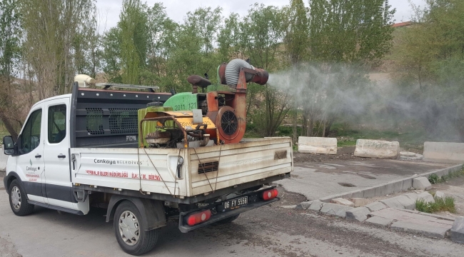 Çankaya'da bahar ilaçlaması