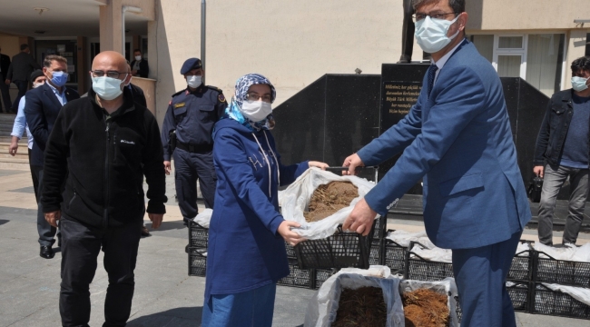 Çiftçilere 60 bin çilek fidesi dağıtıldı