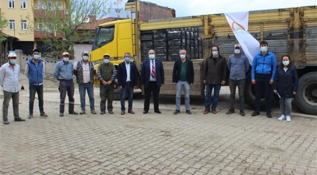 Çiftçilere yüzde 50 hibeli 54 bin çilek fidesi dağıtıldı