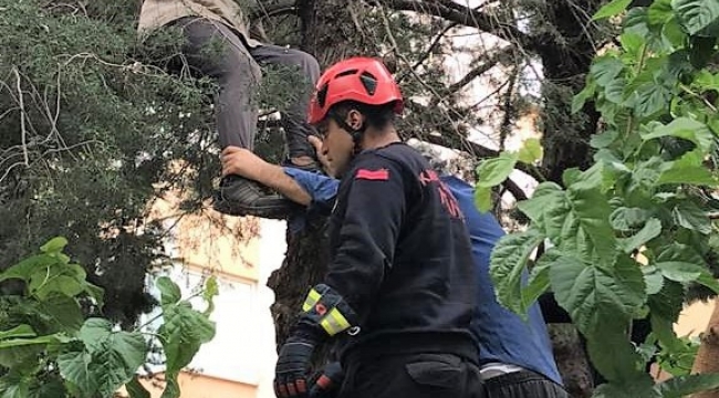 Çıktığı ağaçta fenalaşan adamı itfaiye kurtardı