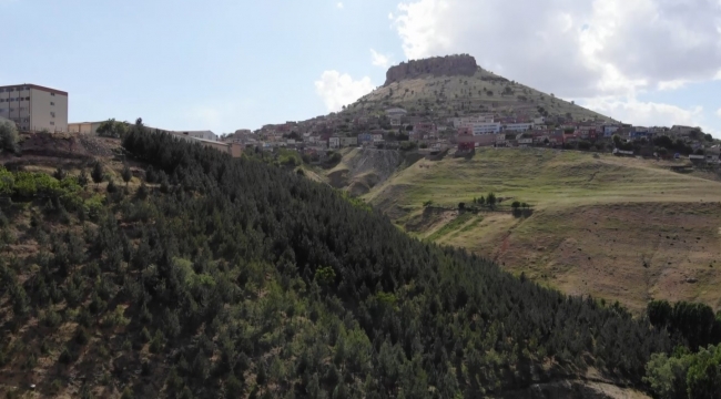 Çöplüğü ormana çevirdi, diktiği ağaçlara gözü gibi bakıyor