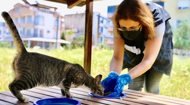 Didim Belediyesi can dostları unutmuyor
