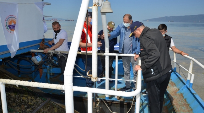 Gemlik Körfezi'nde müsilaj temizliği