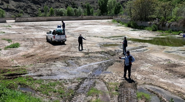 Hekimhan'da vektörel mücadelesi hız kesmiyor