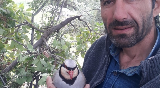 Keklik yumurtasını yemek isteyen engerek yılanına vatandaşlar izin vermedi