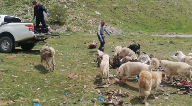Kısıtlamada can dostlar unutulmadı
