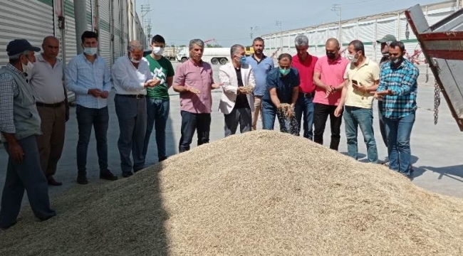 Mardin'de sezonun ilk arpası 2 lira 5 kuruştan alıcı buldu