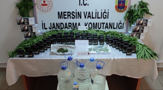 Mersin'de 85 kök kenevir bitkisi ele geçirildi