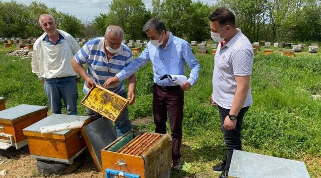 Meşe balı üreten arıcıların saha kontroller yapılıyor