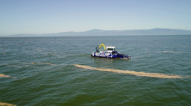 Mudanya'da deniz salyası temizliği başladı