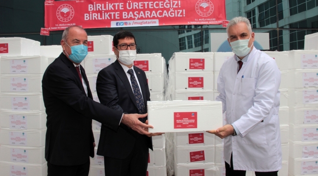 Pandemi savaşçılarına 20 ton balık