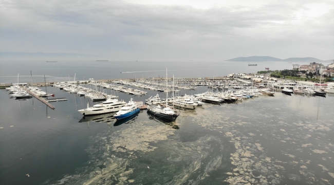 Pendik Marinada denizi kaplayan deniz salyaları havadan görüntülendi