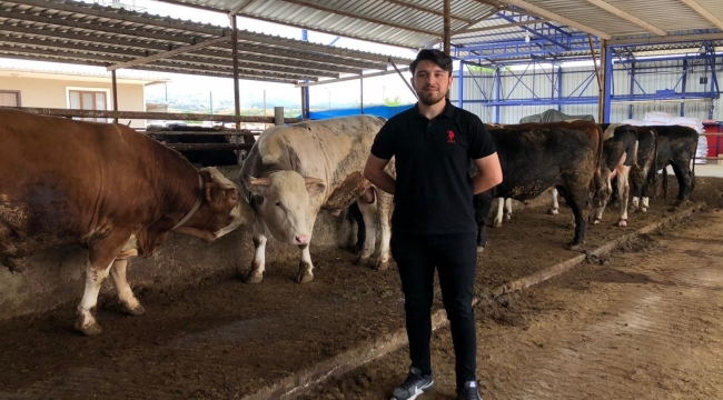 Piyasalarda kurban hareketliliği yaşanıyor