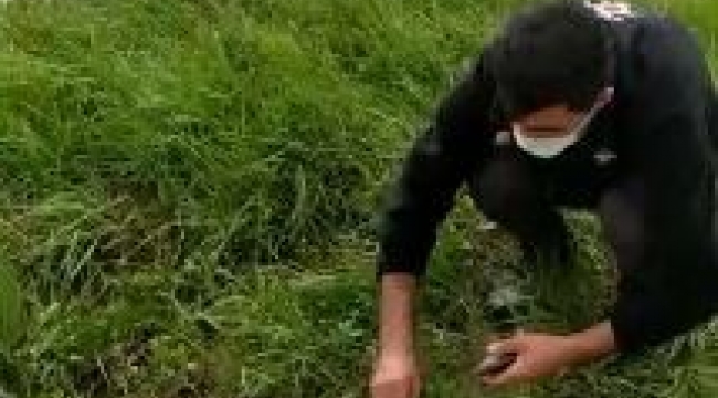 Polis memurunun balıkları kurtarmak için zamanla yarışı