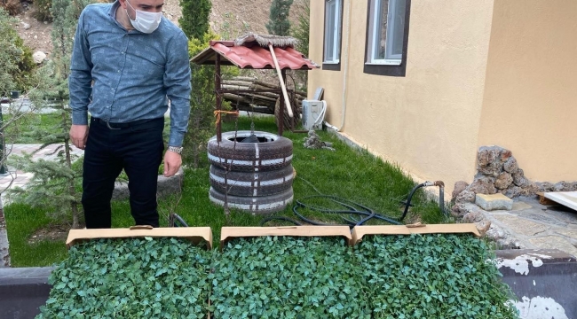Pursaklar'da yerli ve milli tohum üretim dönemi