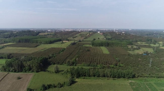 Samsun'da üreticilere 86,1 milyon TL destek