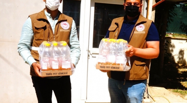 Sarıgöl'de kiraz üreticisini etkileyen sirke sineğiyle mücadele