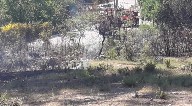 Seydikemer'de zeytin bahçesinde çıkan yangın söndürüldü