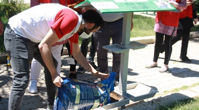 Sokak hayvanları unutulmadı