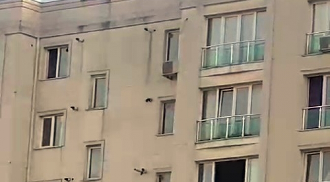 Sosyal medya fenomeni olmak uğruna canlarını tehlikeye attılar