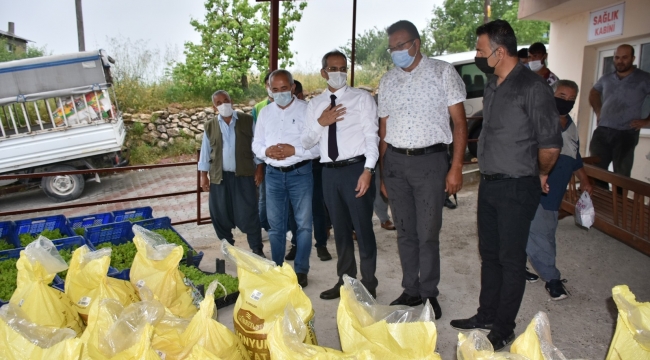 Tarsus Belediyesinden doludan zarar gören çiftçileri 7 ton gübre, 50 bin marul fidesi