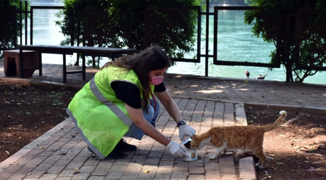 Tarsus'ta sokak hayvanlarına destek sürüyor