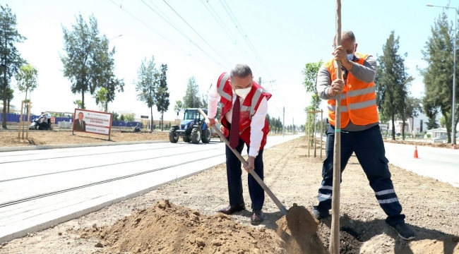 Tramvay hattı turunç çiçeği kokacak