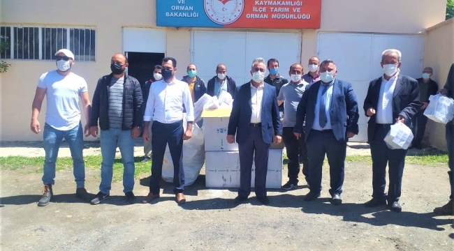 Tuzluca'da arıcılara ilaç dağımı yapıldı