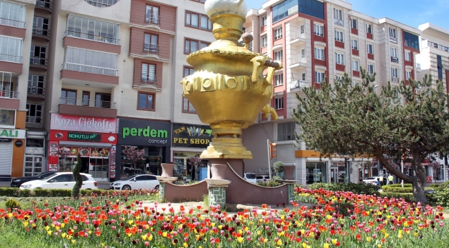 Van'da laleler park ve bahçeleri süslemeye başladı