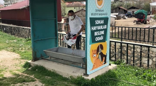 Vatandaşlar, evden çıkamayınca sokak hayvanlarını belediye ekipleri doyurdu