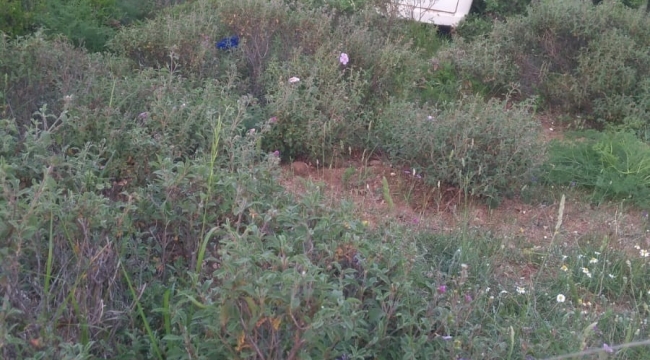 Yalova'da çalınan araç Bursa'da bulundu
