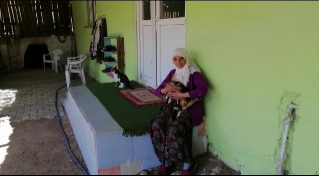 Yaşlı kadının kolundaki bilezikleri söküp aldılar