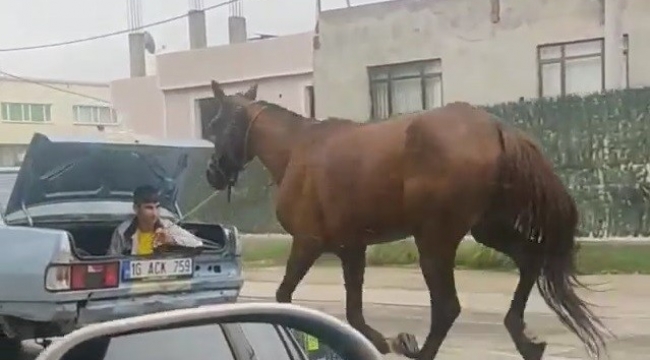 Bursa'da aracın arkasına at bağlayıp koşturan şahsa ağır ceza