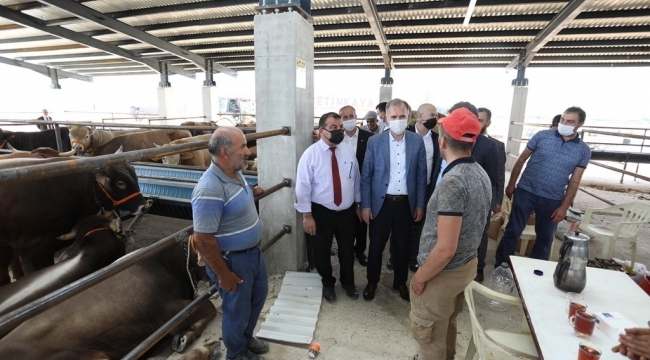 İnegöl'de yeni hayvan pazarında kurbanlıklar satışta