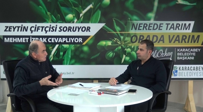 Zeytinde yaz takvimi, zeytin üreticilerine katkı sağlayacak