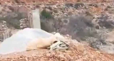 Alanya'da dağdan kopup yuvarlanan kayalar, korkuttu