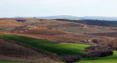 'Trakya'da kuraklık, buğday ve arpada kök gelişimini çok etkiledi'