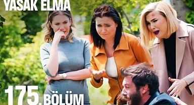 Yasak Elma 175. son bölüm full izle tek parça! Yasak Elma 8 Mayıs 2023 izle FOX TV, Youtube