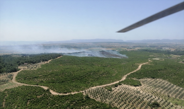 GÜNCELLEME - İzmir'de çıkan orman yangını kontrol altına alındı